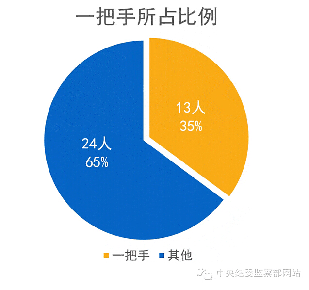 一把手所占比例 饼图.jpg
