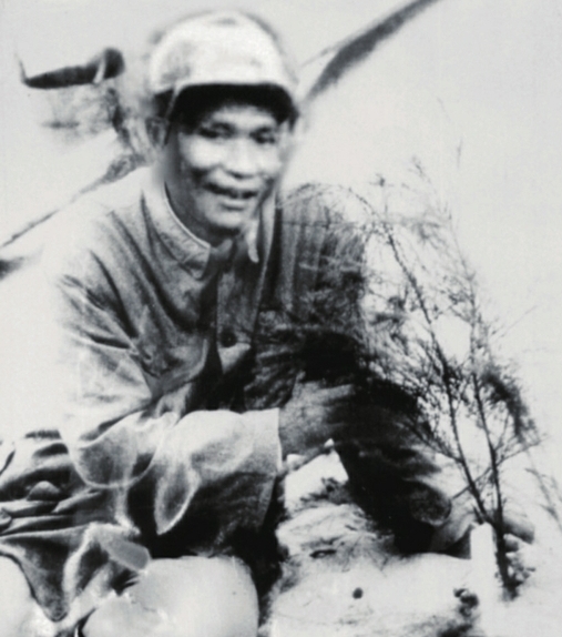 谷文昌与木麻黄.jpg