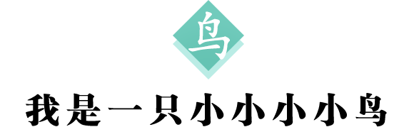鸟标题 600.png