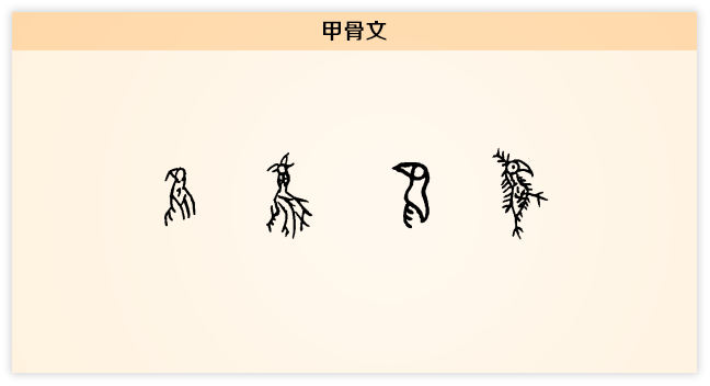 鸟 甲骨文.png