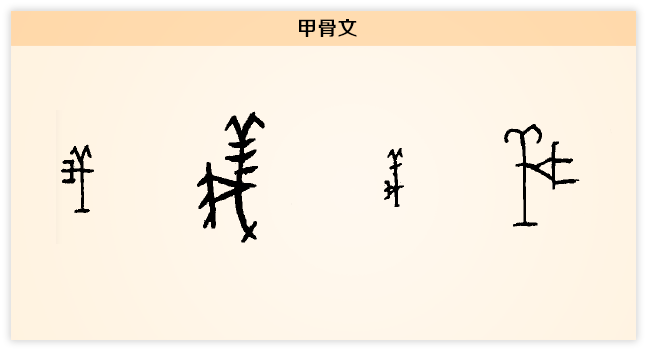 义 甲骨文.png