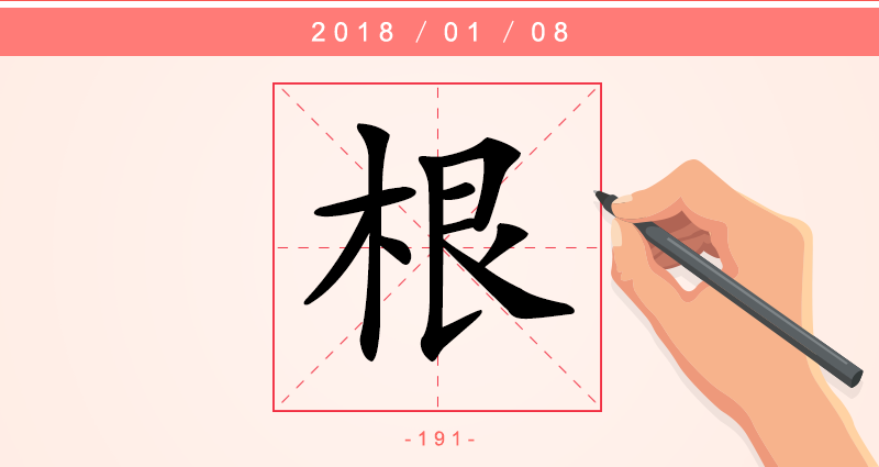 根 字.png
