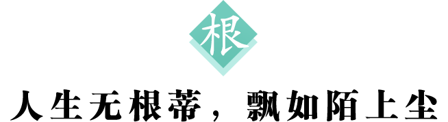 根 标题600.png