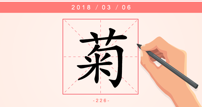 1字菊.png