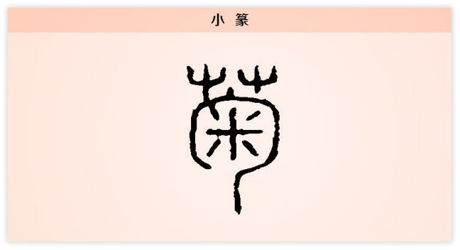 3文字演变菊小篆.png