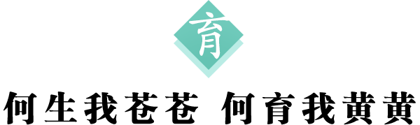 育 标题600.png