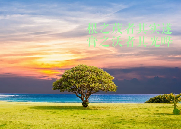 tree-sea-grass-nature-451855_副本.jpg