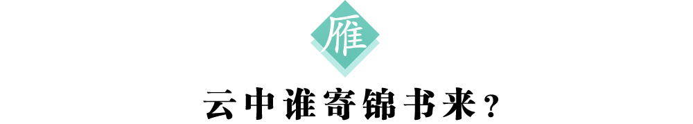 2雁标题.png
