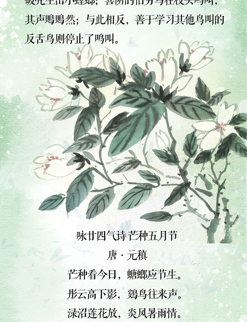 芒种-长图_03.jpg