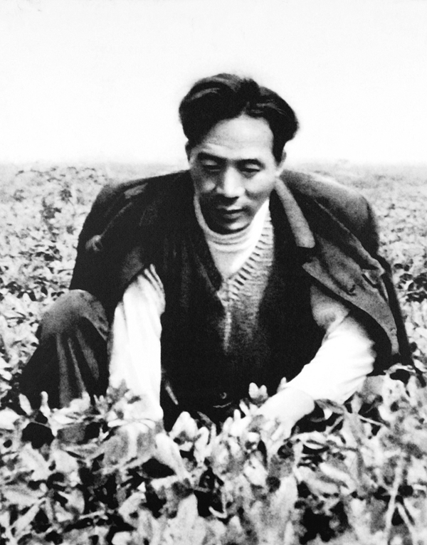 焦裕禄在花生地.jpg